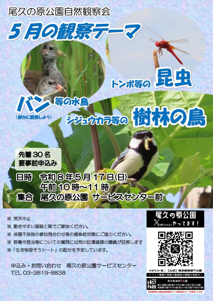 R080517都立尾久の原公園自然観察会ポスタのサムネイル