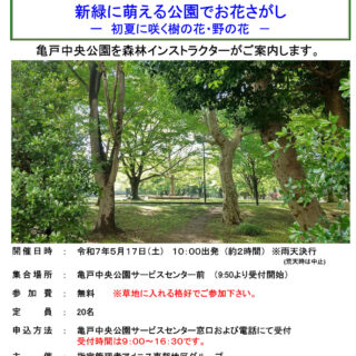 5/17(土)自然観察会～新緑に萌える公園でお花さがし～を開催します！