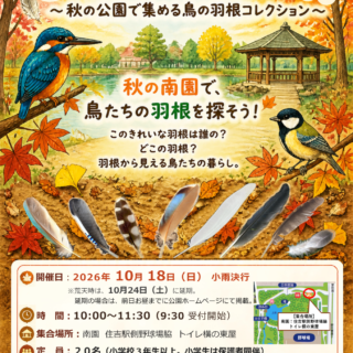 【猿江恩賜公園】『この羽、誰のもの？？　～秋の公園で集める鳥の羽根コレクション～』