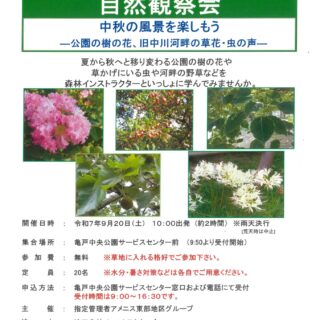 【亀戸中央公園】9/20（土）「自然観察会～中秋の風景を楽しもう～」を開催します！