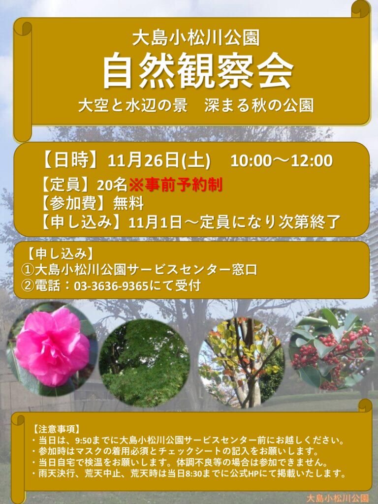 20221126【大島】自然観察会のサムネイル