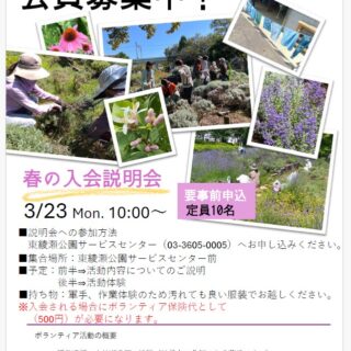 【東綾瀬公園】東綾瀬公園ハーブボランティア「かおりの小径」新規入会説明会 開催のお知らせ