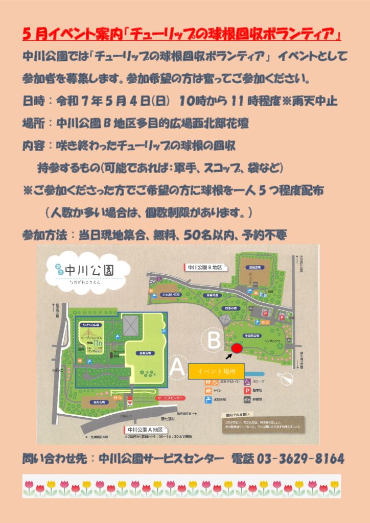チューリップの球根回収ボランティア・イベントのサムネイル