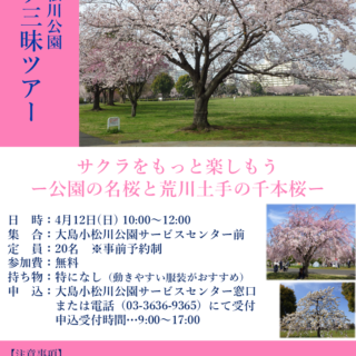 【大島小松川公園】4/12（日）サクラ三昧ツアーを開催いたします！