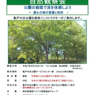 【亀戸中央公園】8/23（日）「自然観察会～公園の緑陰で涼を体感しよう～」を開催します！