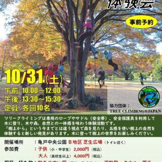 【亀戸中央公園】10月31日（土）ツリークライミングⓇ体験会を開催します！