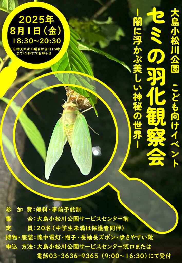 セミの羽化観察会チラシのサムネイル