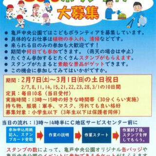 【亀戸中央公園】2/7～3/1　こどもボランティア大募集！！