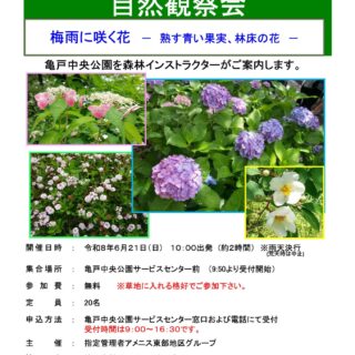 【亀戸中央公園】6/21（日）「自然観察会～梅雨に咲く花～」を開催します！