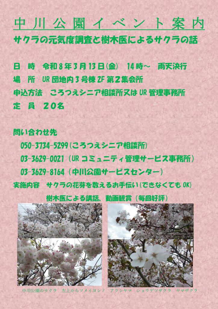 中川公園サクライベント2026のサムネイル