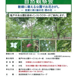 【亀戸中央公園】5/16（土）「自然観察会～新緑に萌える公園でお花探し～」を開催します！