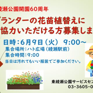 【東綾瀬公園】6/9(火)プランターの花植替えボランティア