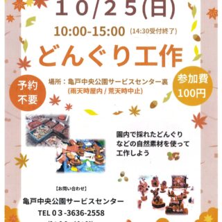 【亀戸中央公園】10/25(日)イベント「どんぐりまつり」を実施いたします！