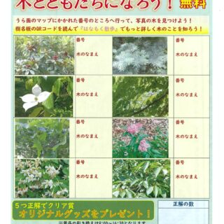 【亀戸中央公園】『木とともだちになろうクイズラリー』を開催いたします！