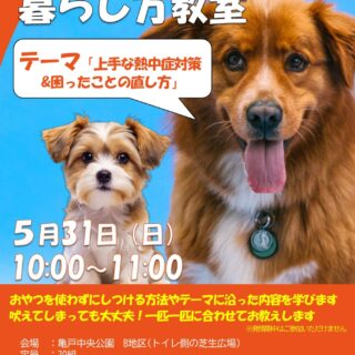 【亀戸中央公園】5/31(日)わんちゃんとの暮らし方教室「上手な熱中症対策&困ったことの直し方」を開催します！