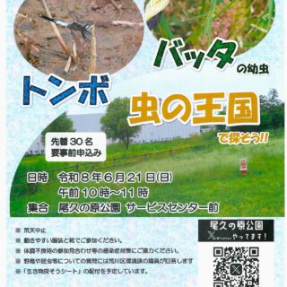 【尾久の原公園】自然観察会「バッタの幼虫と初夏のトンボたち」