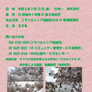 【中川公園】「サクラの元気度調査と樹木医によるサクラの話」開催のお知らせ