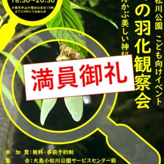 ※満員御礼【大島小松川公園】8/1(金)「セミの羽化観察会」を開催します！
