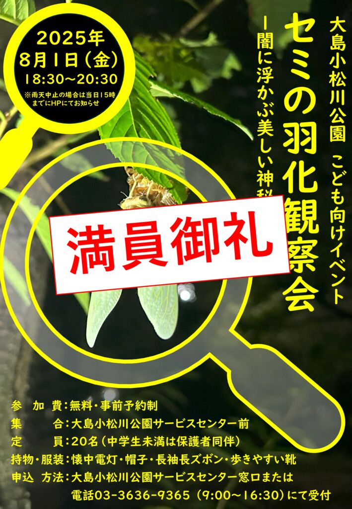 【満員御礼】セミの羽化観察会チラシのサムネイル