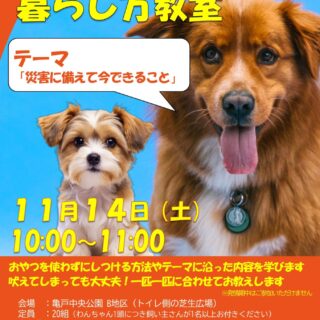 【亀戸中央公園】11/14(土)わんちゃんとの暮らし方教室「災害に備えて今できること」を開催します！