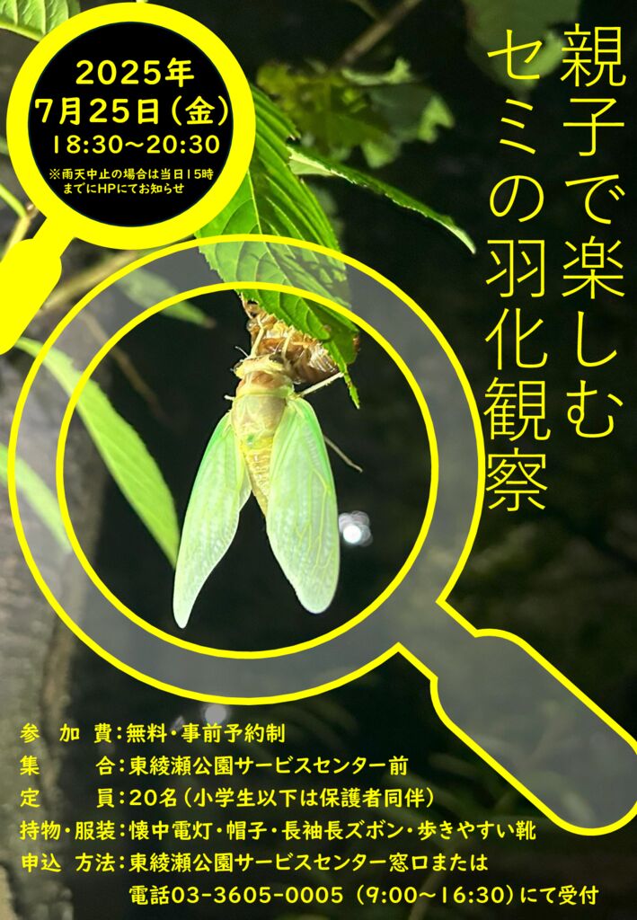 セミの羽化観察会のサムネイル