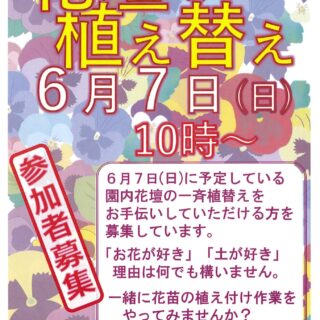 6/7（日）花壇一斉植え替え