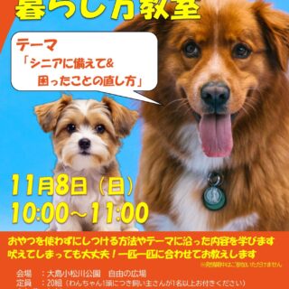【大島小松川公園】11/8(日)　わんちゃんとの暮らし方教室「シニアに備えて&困ったことの直し方」を開催します！