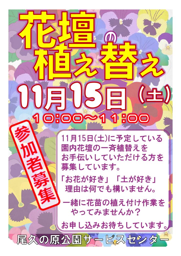 花壇植え替え2025のサムネイル