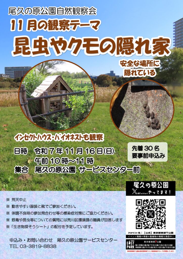 R071116都立尾久の原公園自然観察会ポスターのサムネイル